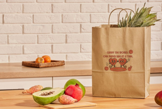  Sacs papier kraft avec anses rondes | Paysdesenveloppes.fr