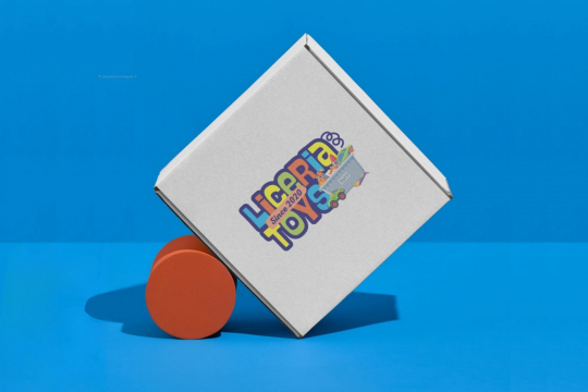 Boîte carton avec fermeture renforcée | Paysdesenveloppes.fr