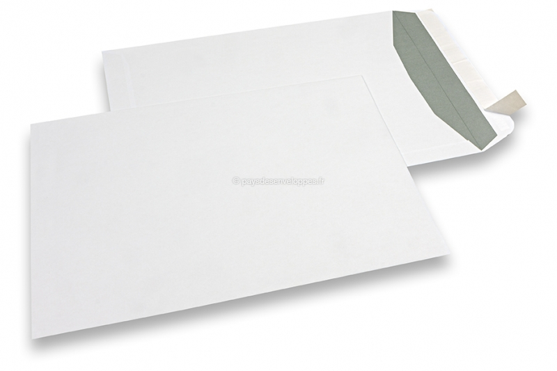 Enveloppe Papier Kraft Avec Carte Blanche Isolée En Blanc Photo stock -  Image du information, fond: 241684812